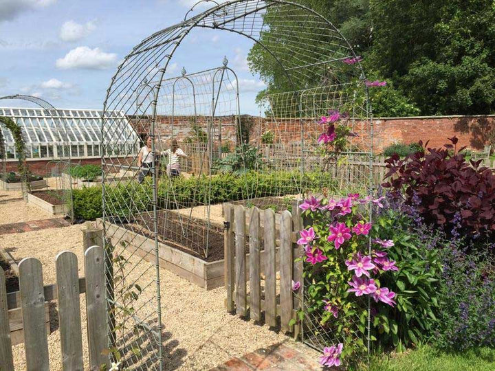 Garden Trellises Shop -Garden Trellises Shop kitchen garden1 900x 1296x c70d0881 fc45 4bb5 841c